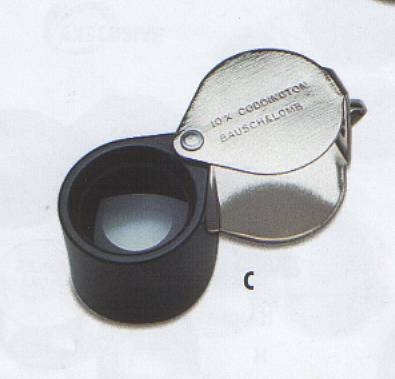 Coddington