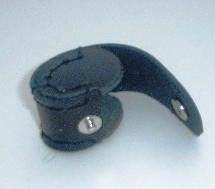 Case